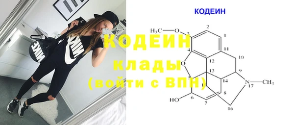 индика Баксан