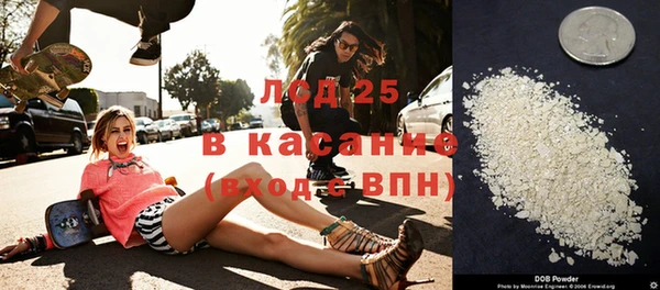 индика Баксан