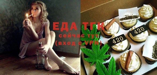 индика Баксан