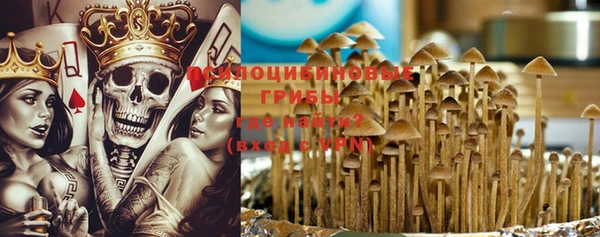 индика Баксан