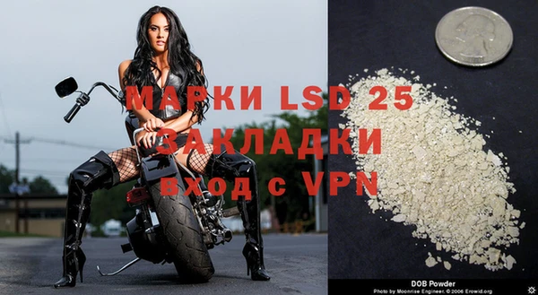 индика Баксан