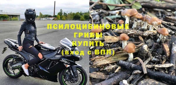 индика Баксан