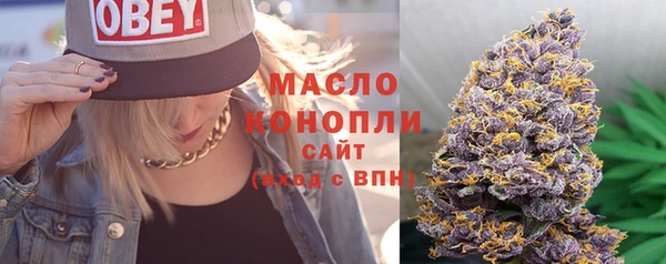 индика Баксан